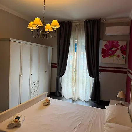 Dp House Ostie